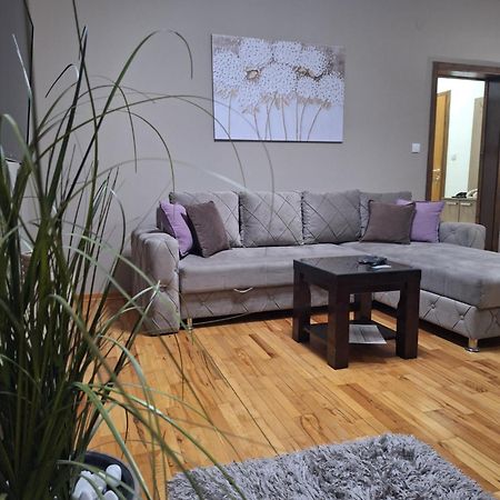 Apartmani Radulovic Vrnjačka Banja Kamer foto