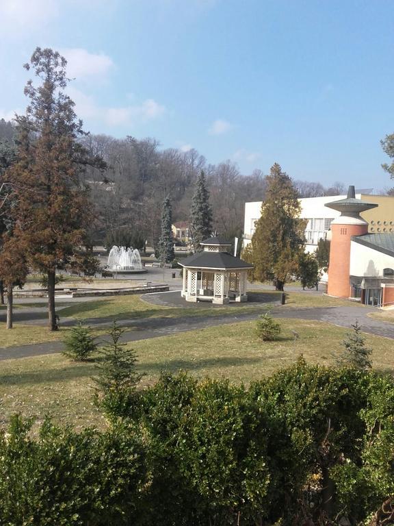 Apartmani Radulovic Vrnjačka Banja Buitenkant foto