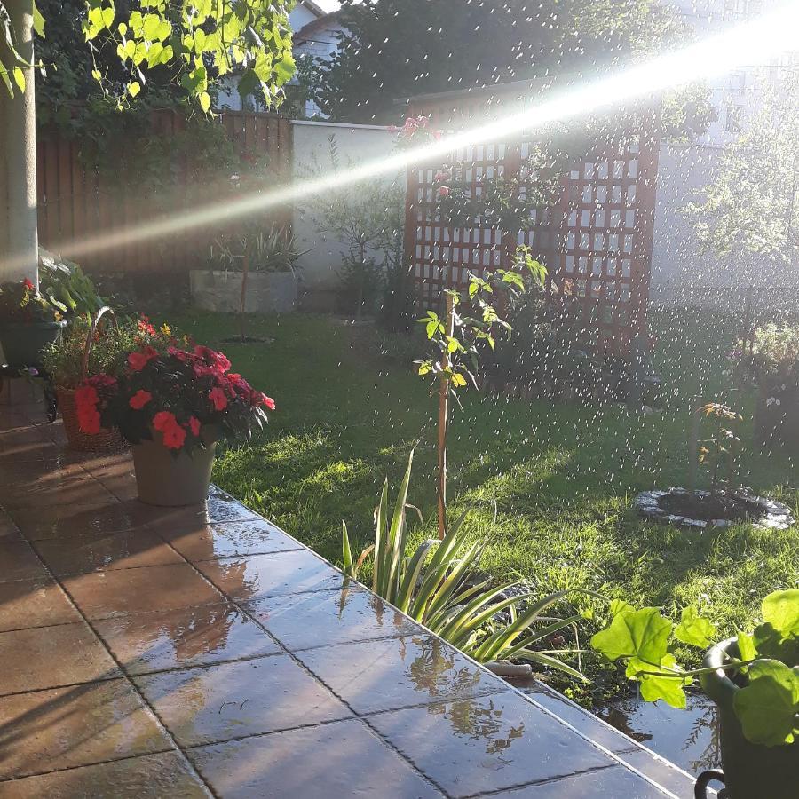 Apartmani Radulovic Vrnjačka Banja Buitenkant foto