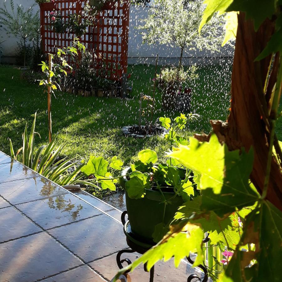 Apartmani Radulovic Vrnjačka Banja Buitenkant foto